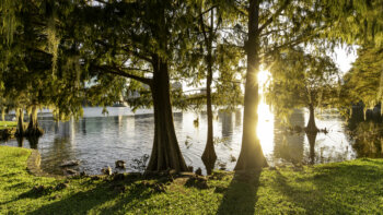 Scenic lake Eola in the heart of Orlando